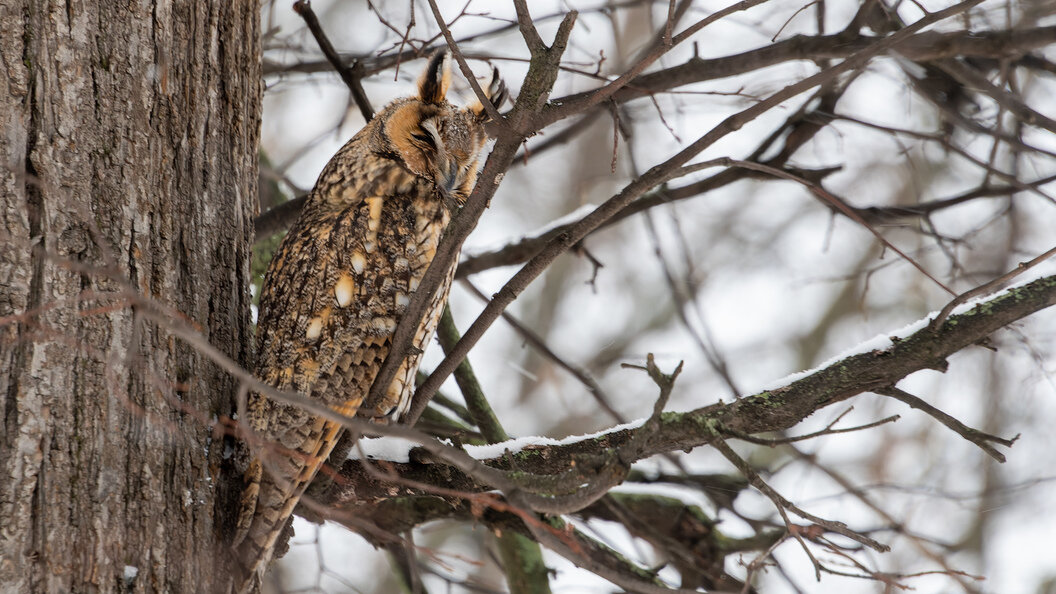    Фото: globallookpress.com