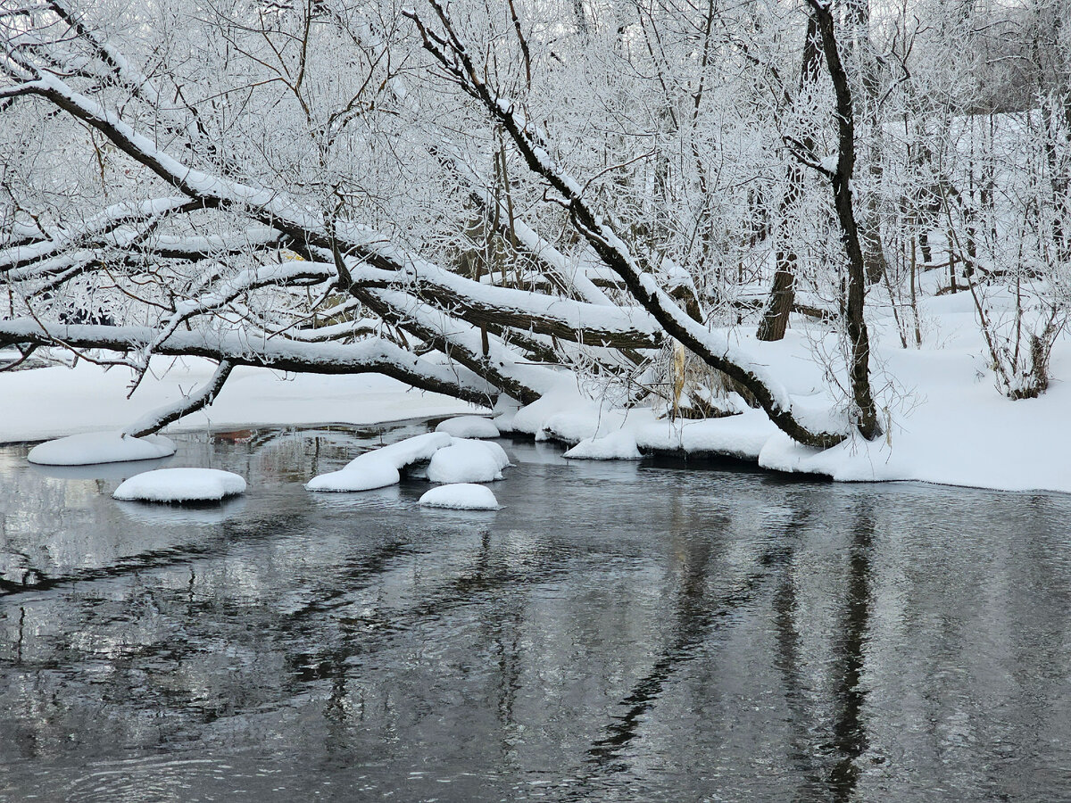 Зимние узоры