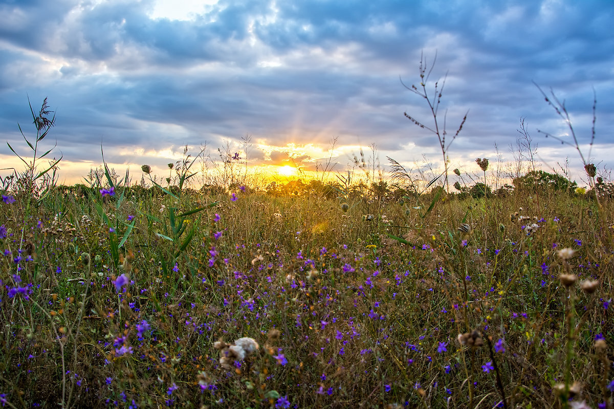 нежные цветы в руках.