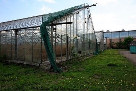  заброшенные теплицы Таврического сада