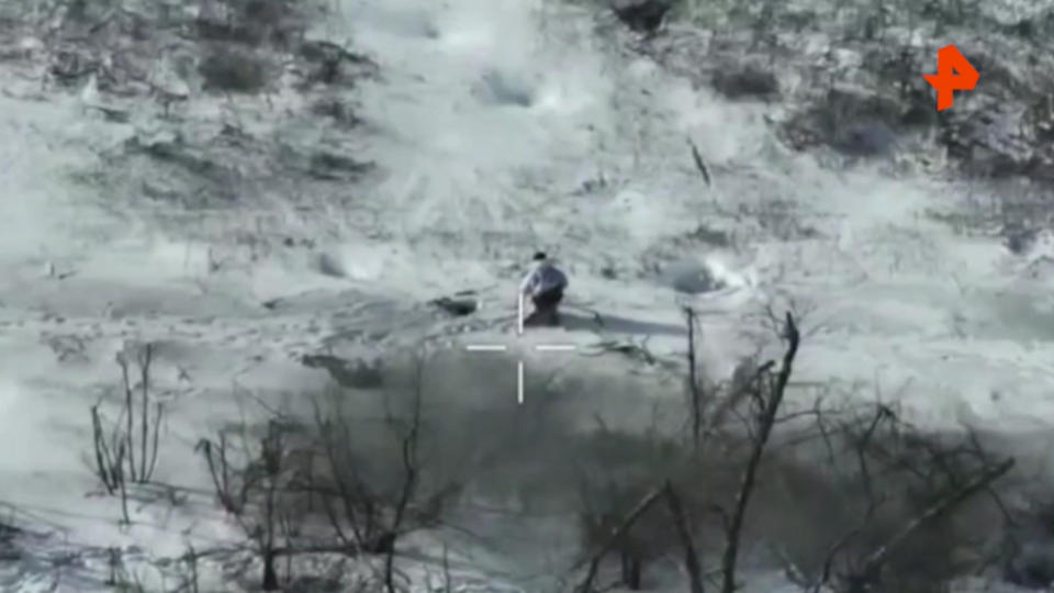 недавно вышедши работы. звёздные войны скайуокер восход джанна. A. видоизмененный углерод (2018). элис монахан хеллбой 2019.