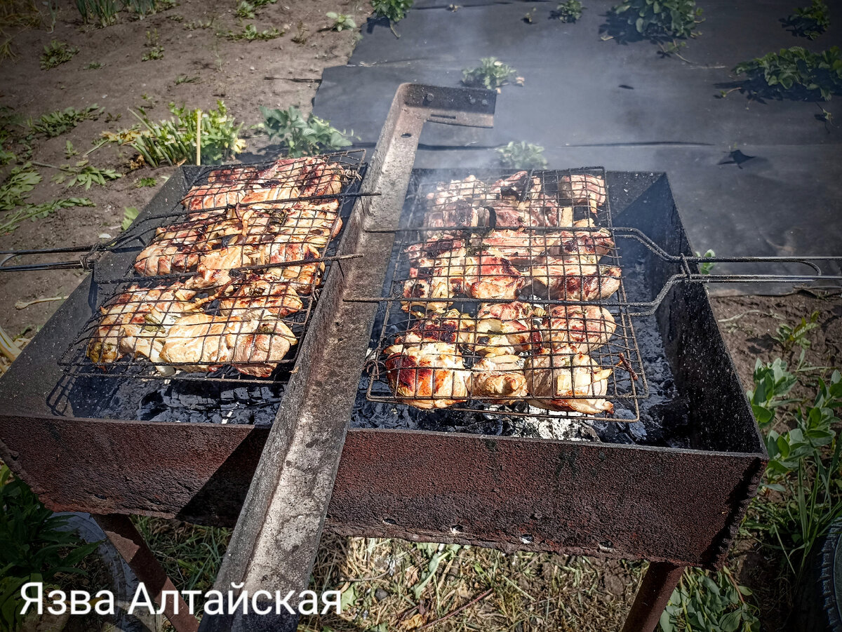 Немного лета вам. Вкусный шашлык. 