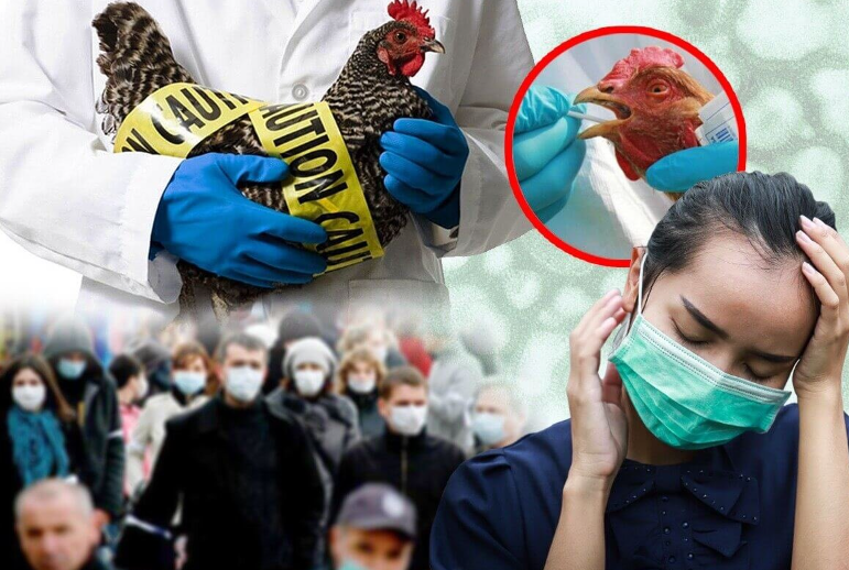 Инфекционные заболевания людей. Последствия инфекционных заболеваний для человека. Инфекции среди людей. Инфекционная заболеваемость людей. Широкое распространение инфекционного заболевания.