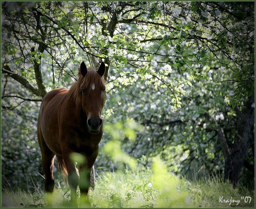 фото В,М. Гончаренко
