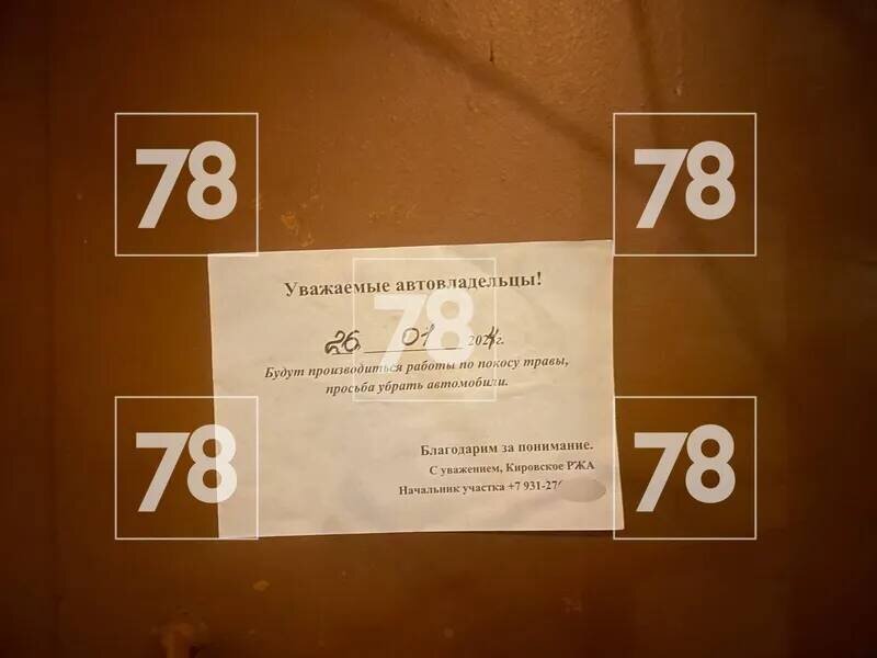 Листовка с объявлением о покосе травы Источник: 78.ru Автор фото: Максим Слекишин📷
