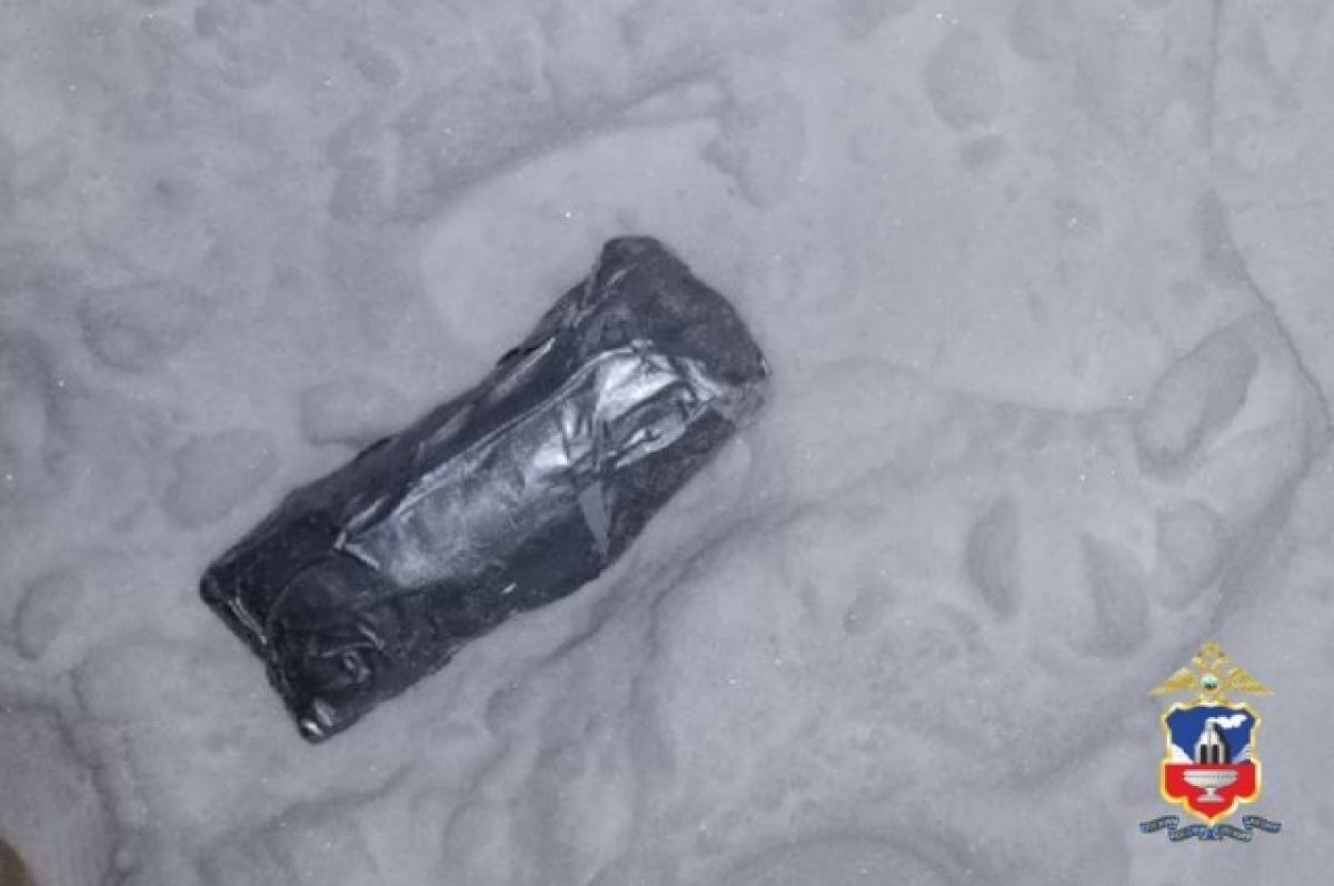    На Чуйском тракте в Алтайском крае задержали наркокурера