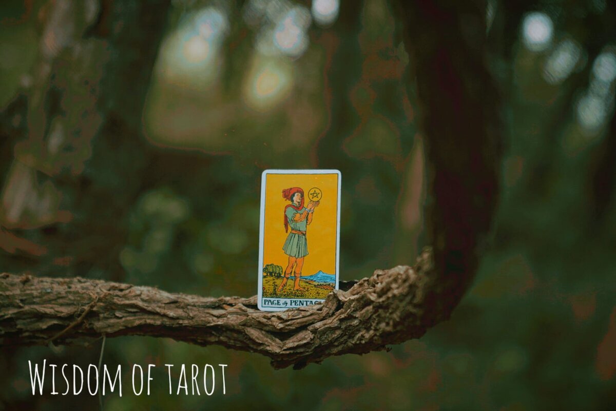 Масса колибри. Рассказ про опыление растений 3 класс. Колибри массой 2 г. Колибри массой 2 г. Вес колибри.