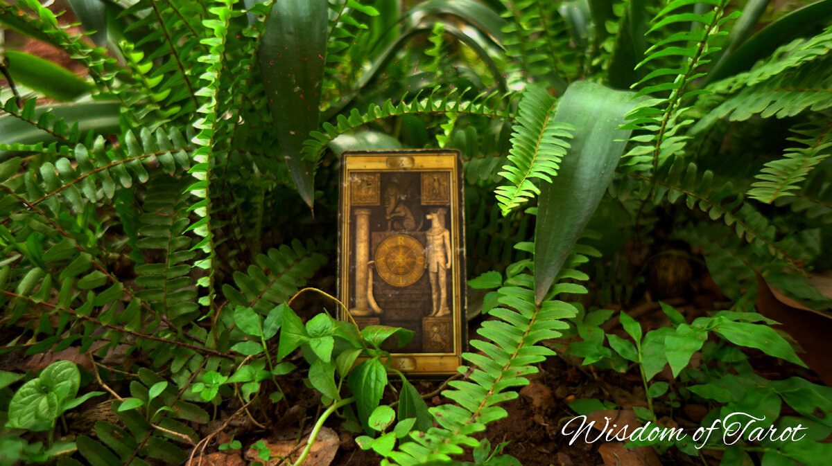 народы кавказа 19 век адыги. расселение народов кавказа. адыги шапсуги черкесы. территория кавказа до кавказской войны. франц рубо (franz roubaud).