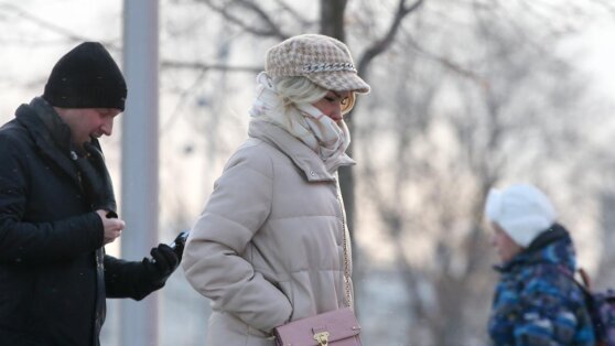    Облачная погода и снег ожидаются в Москве 26 января Сергей Бунеев