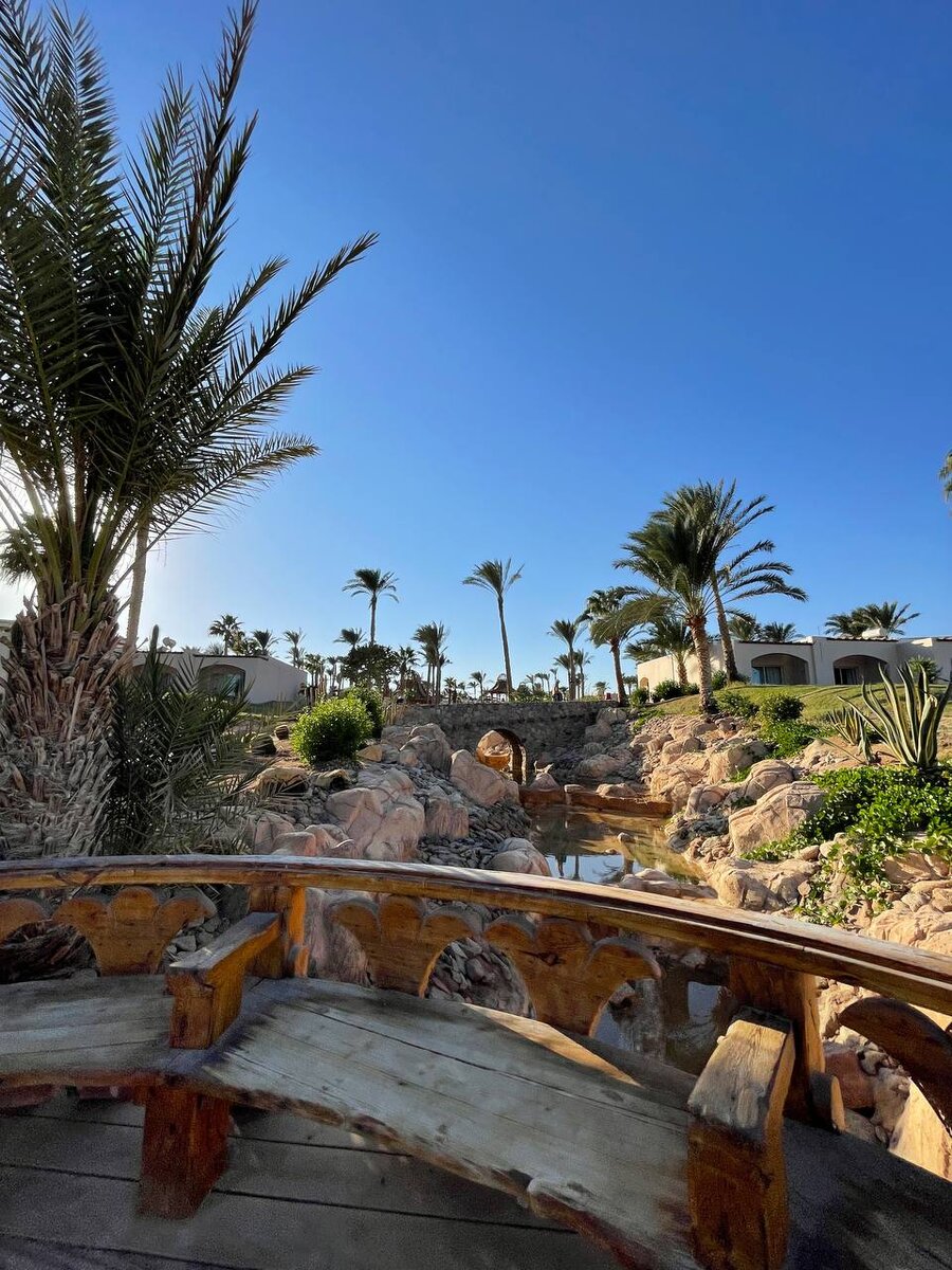 Beach hotel 5 отзывы. ринг бич отель кемер. Sealife buket beach hotel 5. роял асарлик бич резорт бодрум. Cenger beach турция.