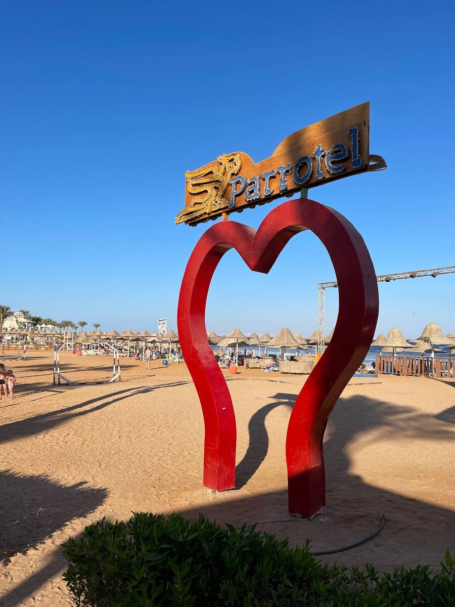 Ветрогенератор алиэкспресс. Вертикальный ветрогенератор. Велосипед stels складной 5 скоростной. Wind 5. Деревья ветрогенераторы.