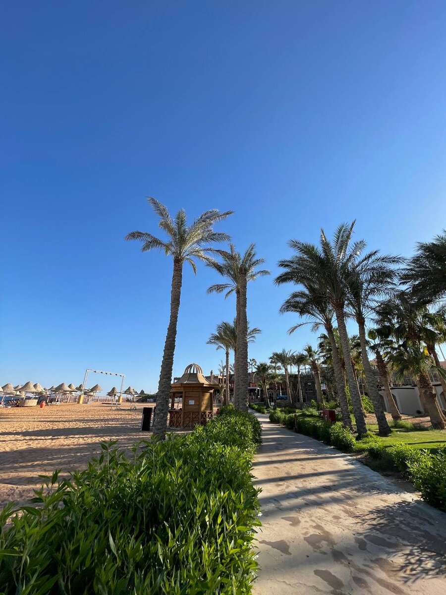 Самуи роскошь. Sea view resort patnem 3*. Seaview beach resort шри ланка. Sea view beach resort. Thaproban beach house шри ланка.