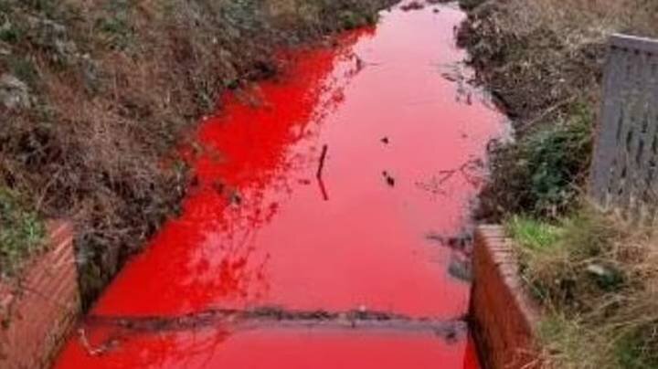  Фото: соцсеть Х (скриншот)