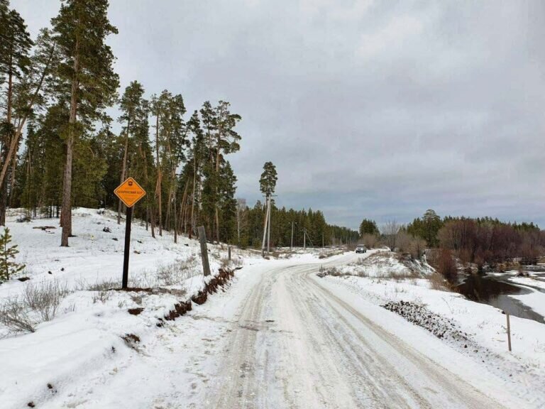   На дорогах рядом с Бузулукским бором установят знаки «Дикие животные» Андрей Севостьянов