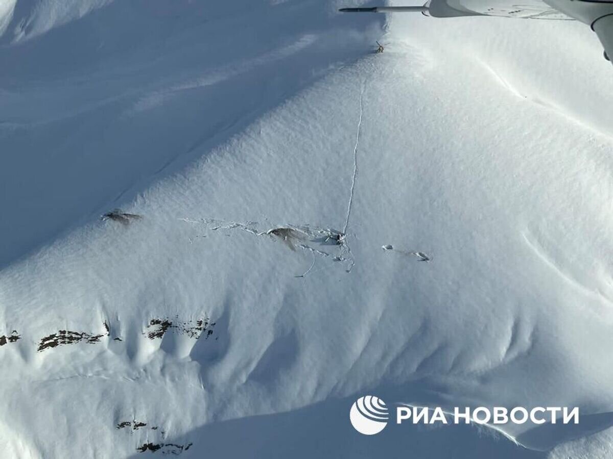    Место падения самолета Falcon 10 в Афганистане© РИА Новости