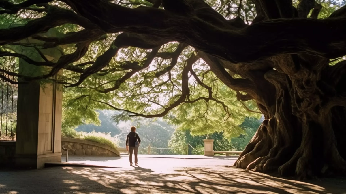 Фото: Midjourney