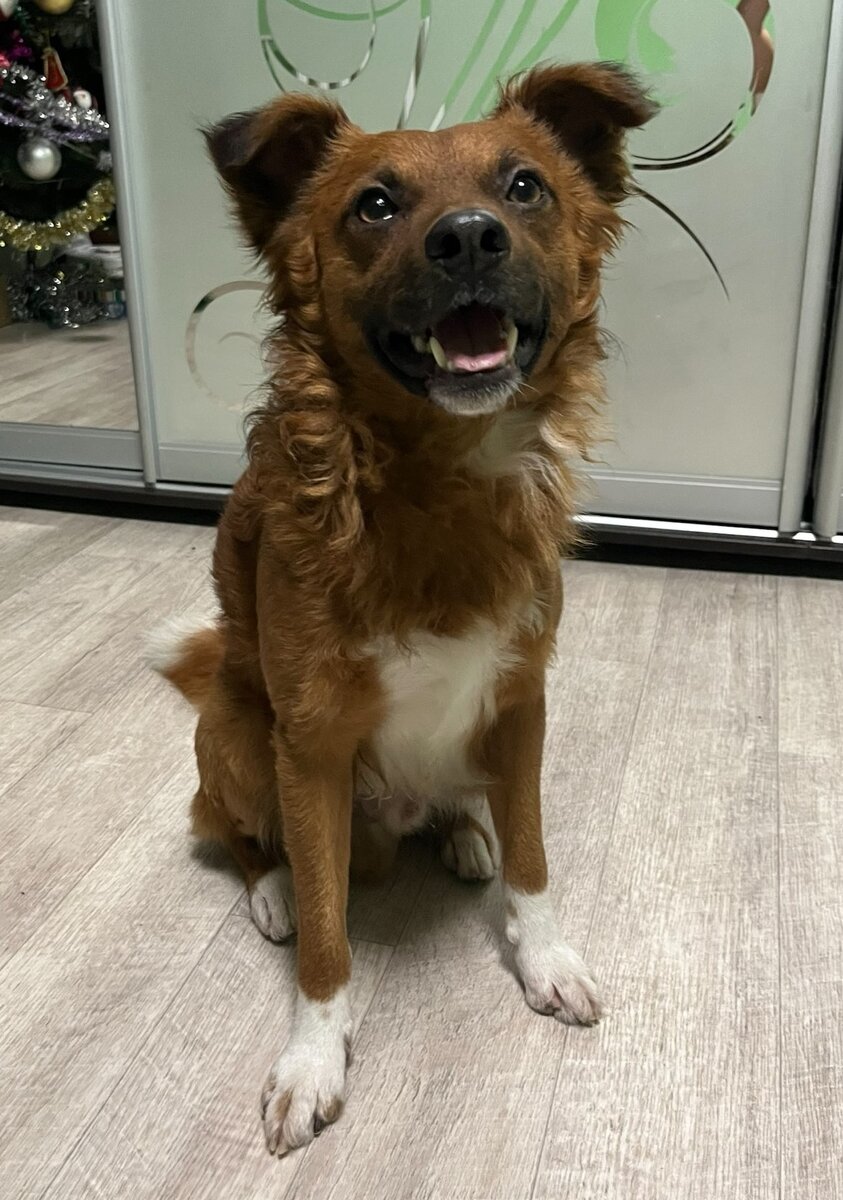 спряжение глаголов 2 спряжение. окончание прилагательных правило. 1л 2л 3л глаголов. спряжение глаголов первое спряжение. спряжение в 1 лице множественного числа.