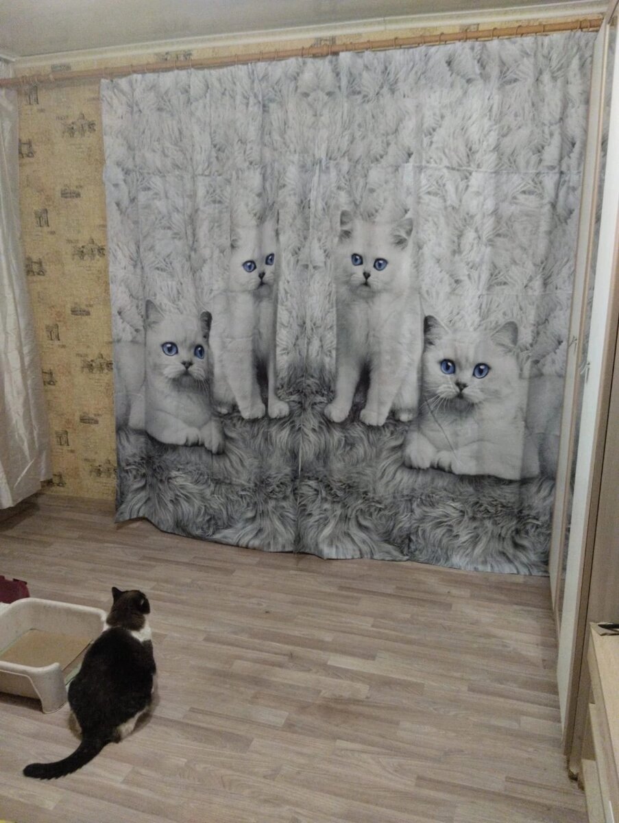 Фото из свободных источников