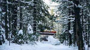    Югорский лыжный марафон обновится карнавальной гонкой и новым маршрутом