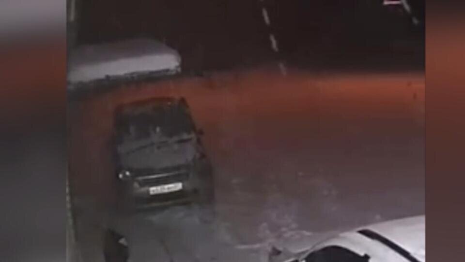 Фото: © Скриншот видео