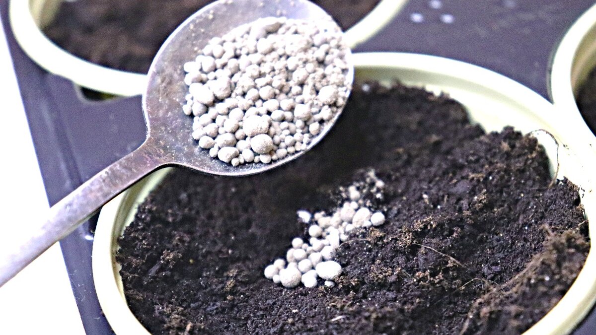 вермикулит вспученный для растений. торф для рассады. земля для посадки рассады. подготовка земли для рассады. субстрат для растений.