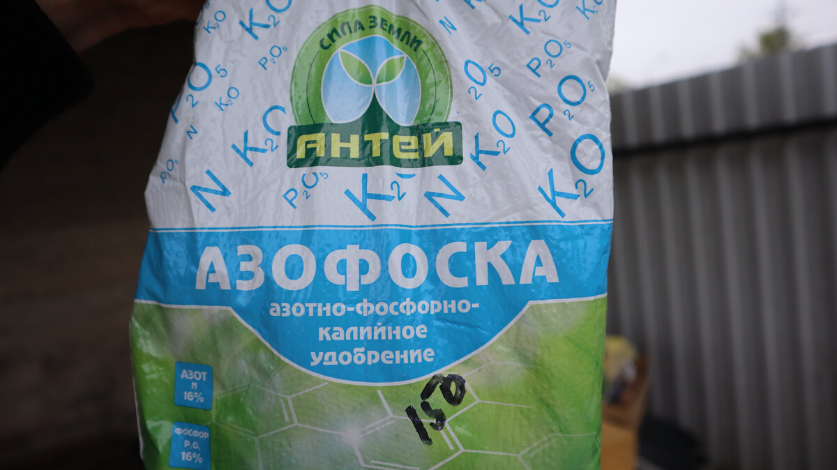 С какого раза получилось эко. С какого раза получилось эко