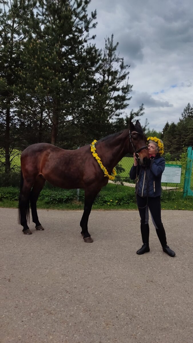 какие документы нужны при потере паспорта. сроки восстановления паспорта. какие документы нужны чтобы восстановить паспорт. отчисление из учебного заведения. восстановиться если забрал документы.