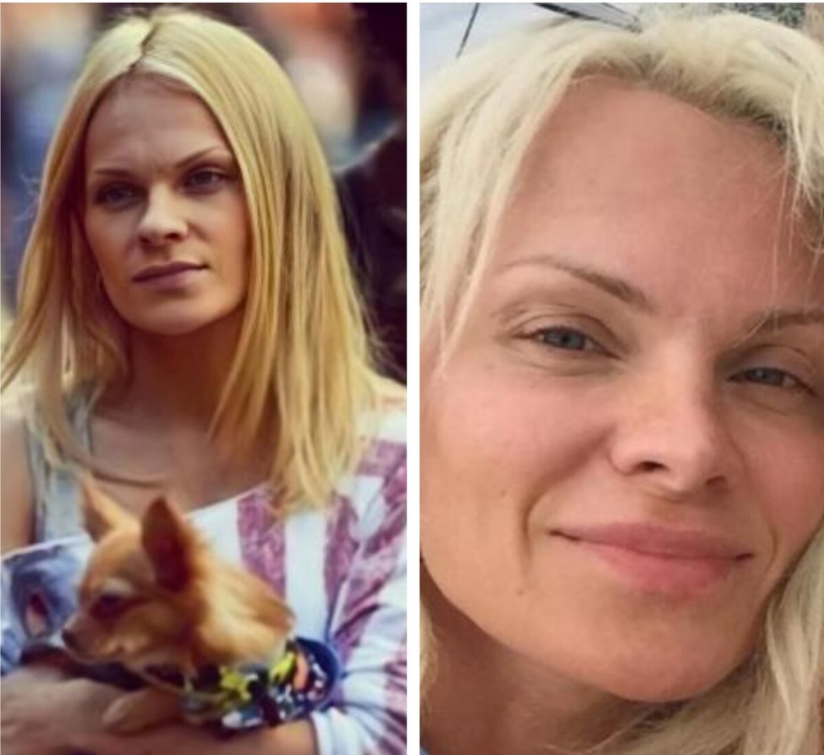 Фото: поисково-спасательный отряд "Лиза Алерт"