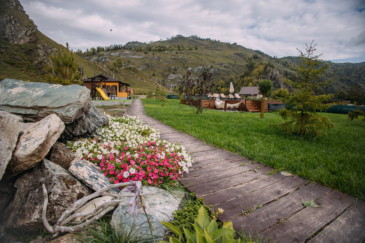 Чистый ароматный воздух в экологичном месте