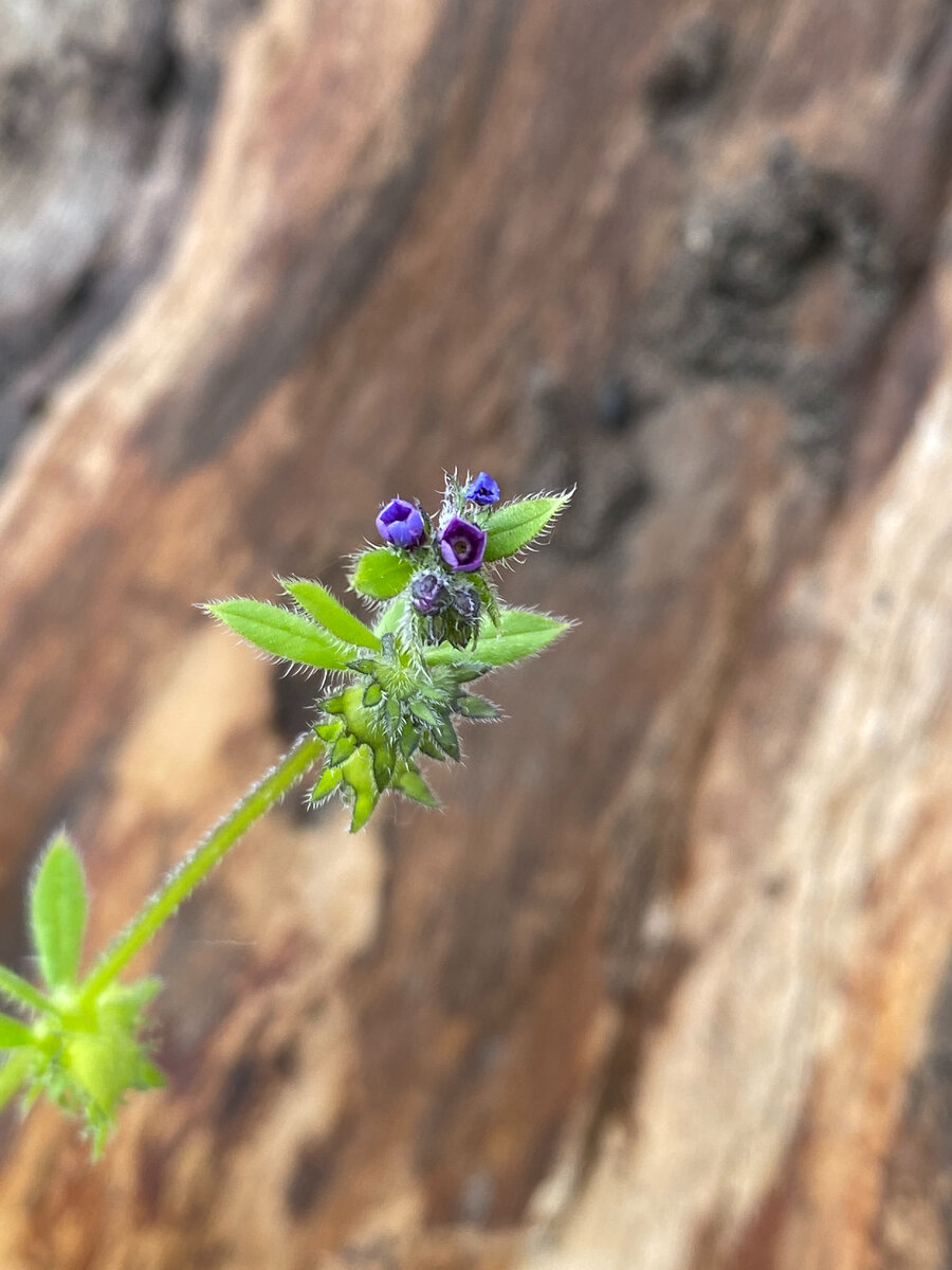 текст вакарчук холодно. остров в океане аккорды. аккорды к песням. аккорды песен для гитары. гитара и деньги.