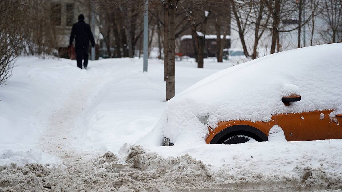    Фото: Александр Авилов / АГН Москва