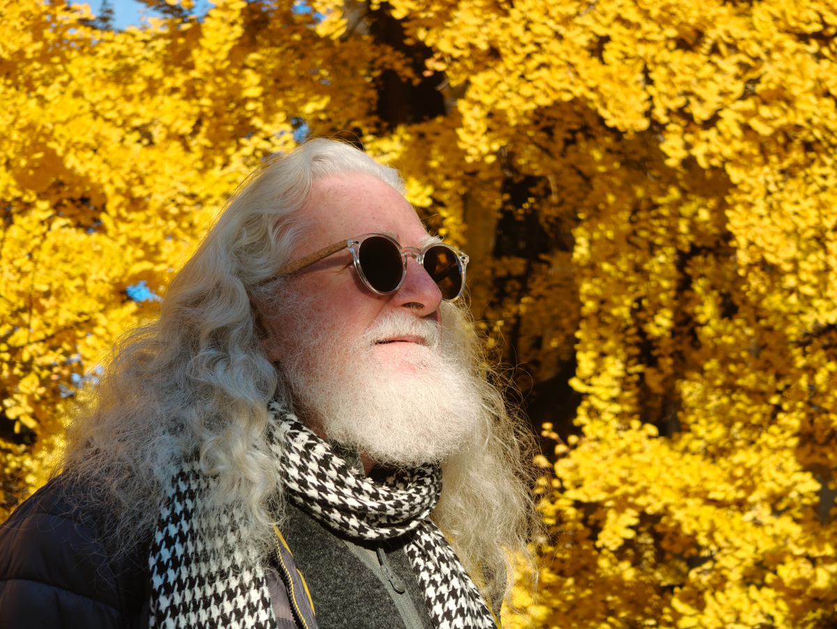 Приложение которое решает примеры. Камера для решения примеров. Мвк 08. Приложения для решения математики. Приложение для решения задач по математике.