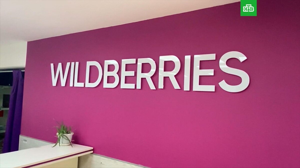 Wildberries бери. Вайлдберриз. Wildberries контрафакт. Вайлдберриз Озон.