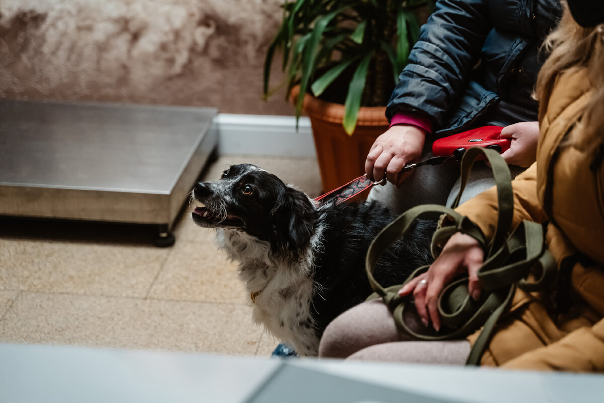 Фото: Максим Школьников