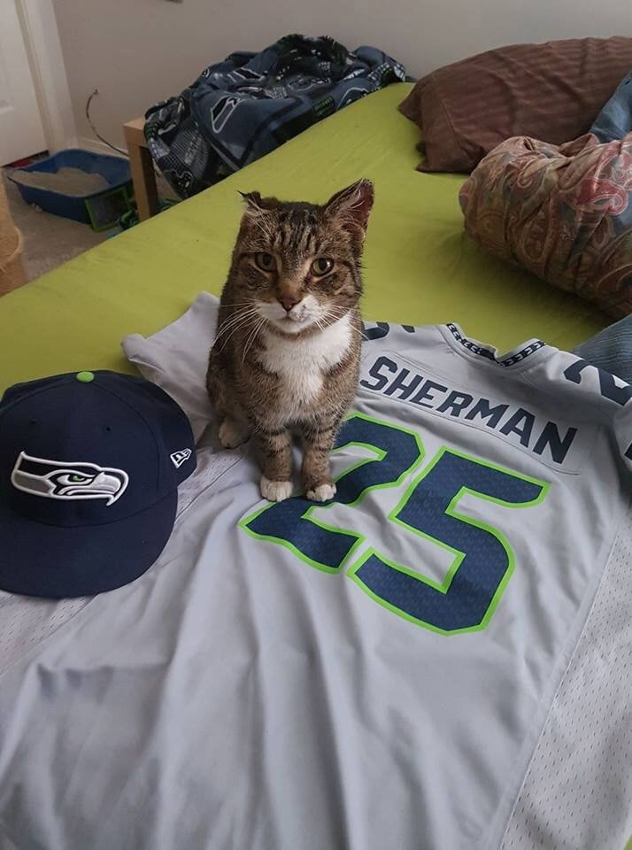 Под мостом аккорды. Годы прошли текст с аккордами идигов. Ноты на гитару замок на мостик hensy. Би 2 компромисс табулатура. Ислам идигов аккорды.