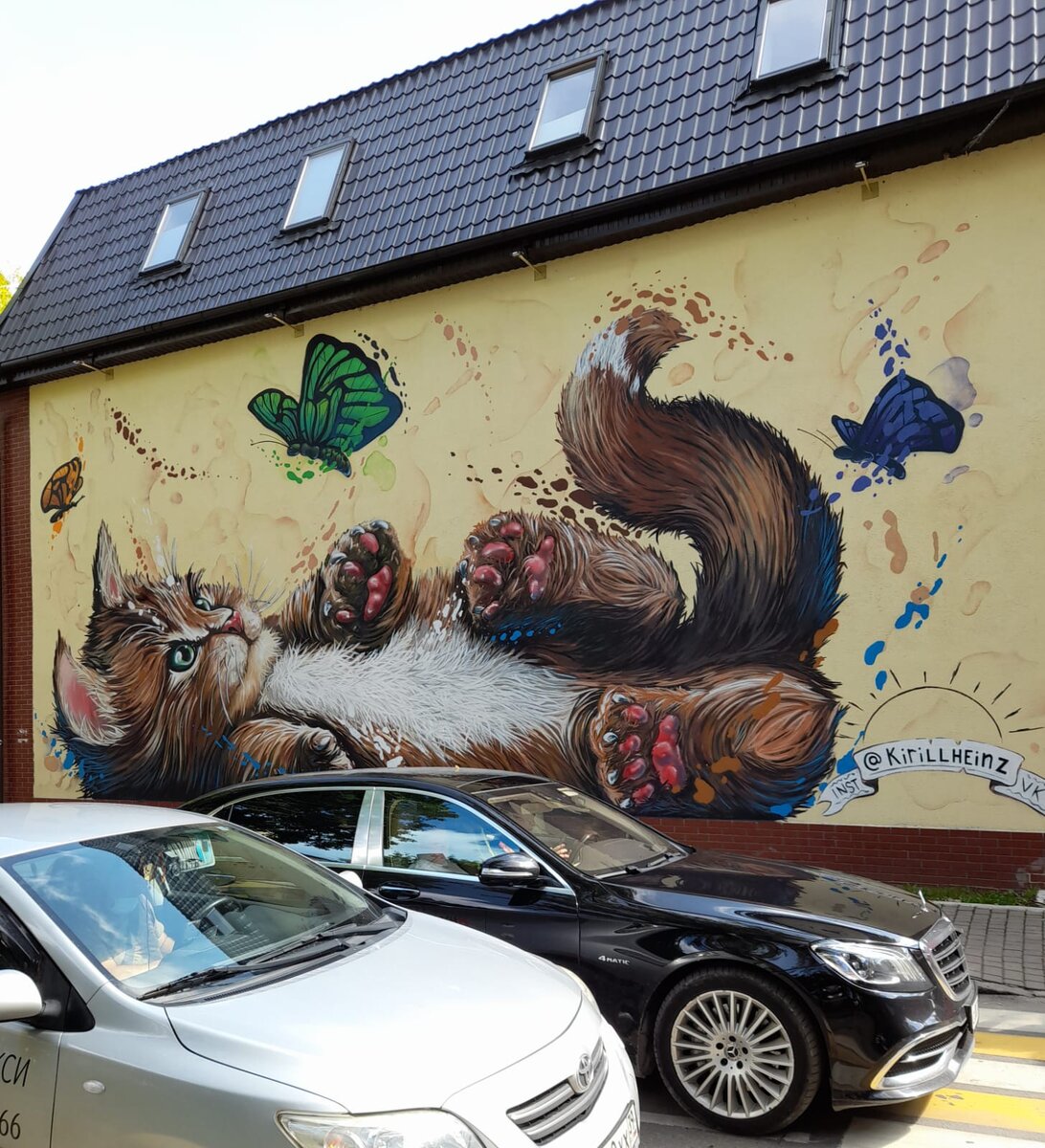 Правильный Зеленоградск 😉😻