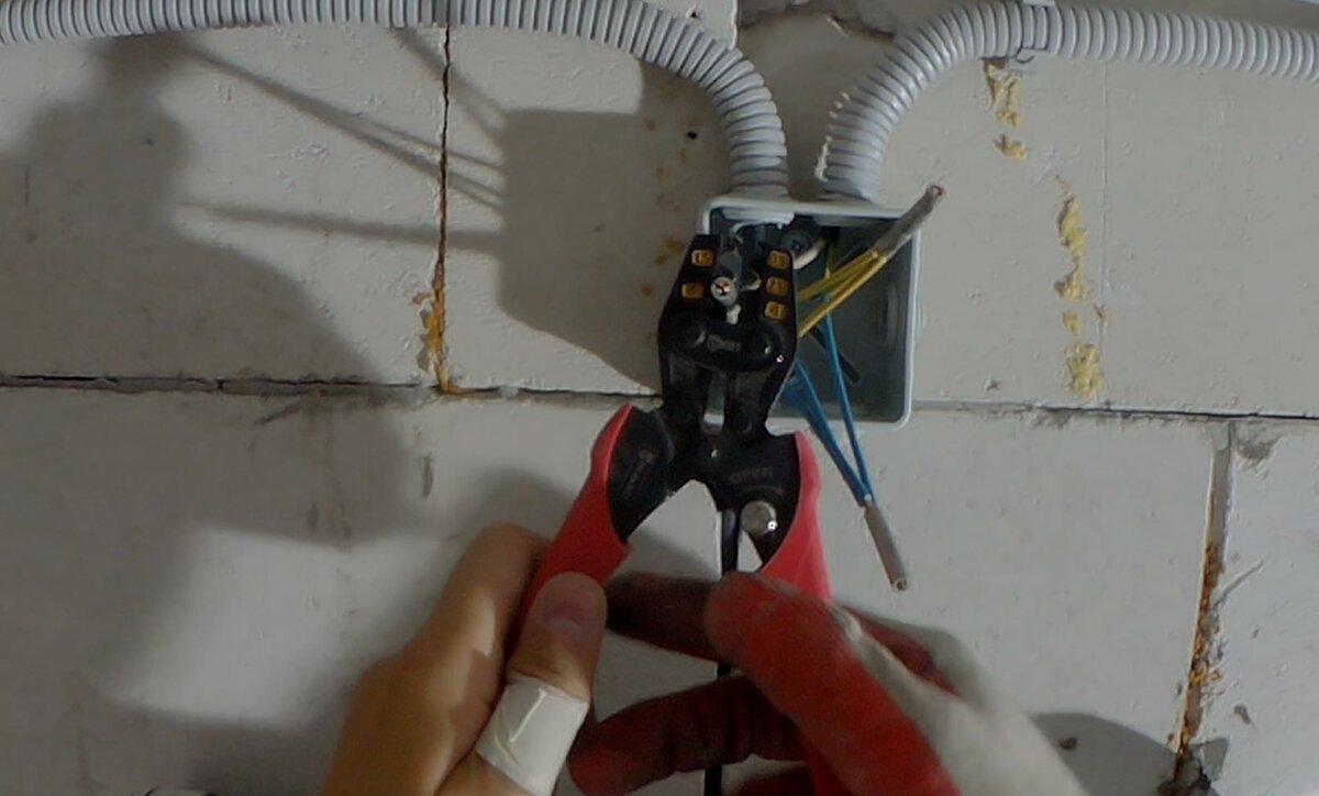 Население земли статистика по годам. Сколько раз жило на земле. Сколько всего народов на земле. Сколько лдедей на земле. Сколько раз жило на земле.