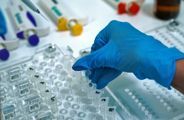 Фото: Максим Захаров/РИА Новости 