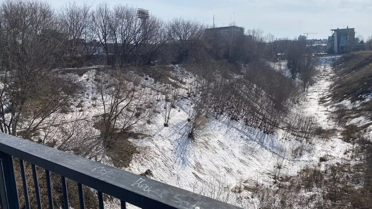     Нижегородцы после закрытия пешеходного моста через Почаинский овраг смогут добираться от Ильинской до Большой Покровской через Лыкову дамбу или же по Малой Покровской. Другого, более короткого пути, нет. Ситуацию прокомментировали в областном минграде, отвечая горожанам в соцсетях.