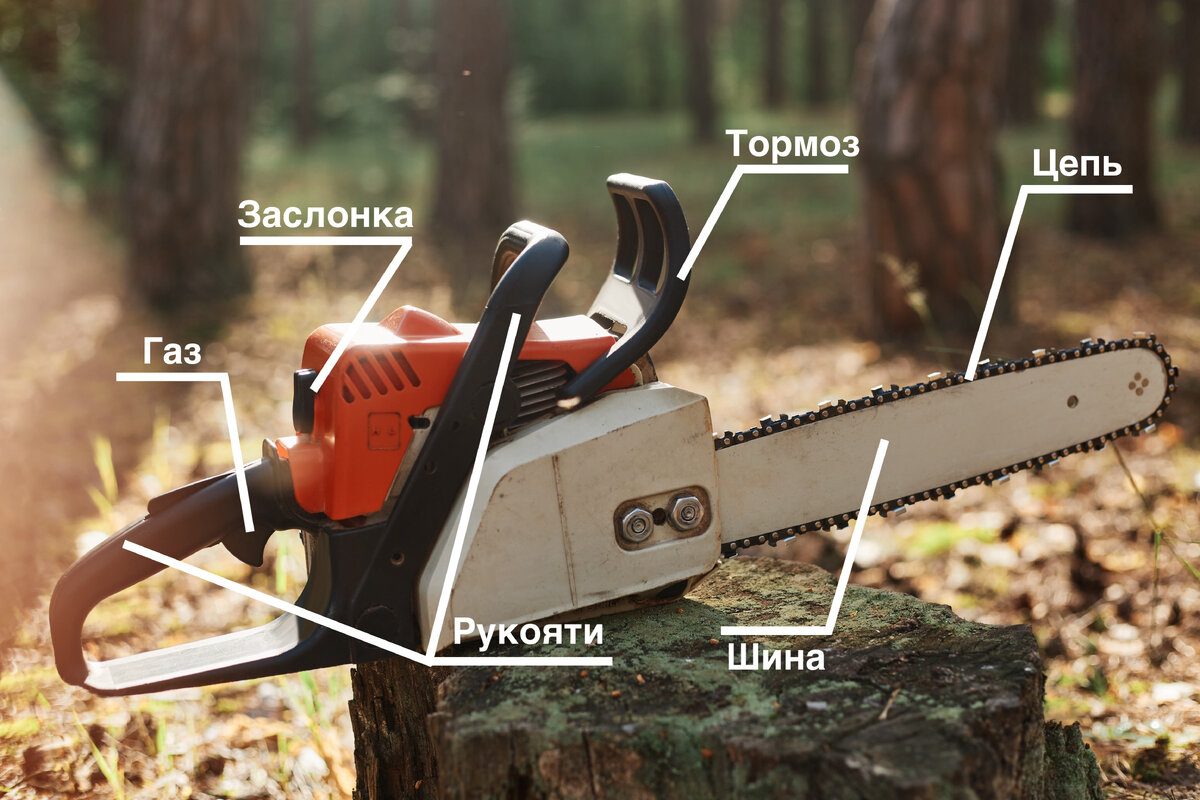       Freepik/user18526052