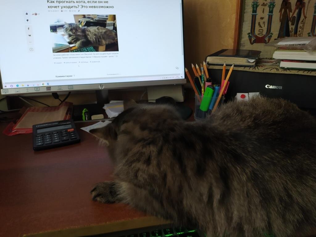 время запуска истекло как сбросить