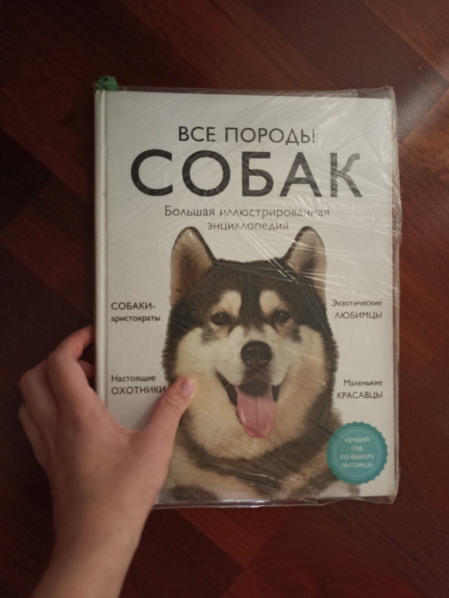 Молитва салават на татарском языке. Истихара намаз. Салават кабир. Дога ислам. Догалар.