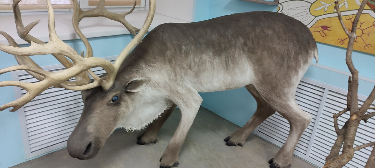 Эйктюрнир олень. Эйктюрнир скандинавская мифология. Заяц джекалоп. Земляной олень. Tuomas korpi художник.