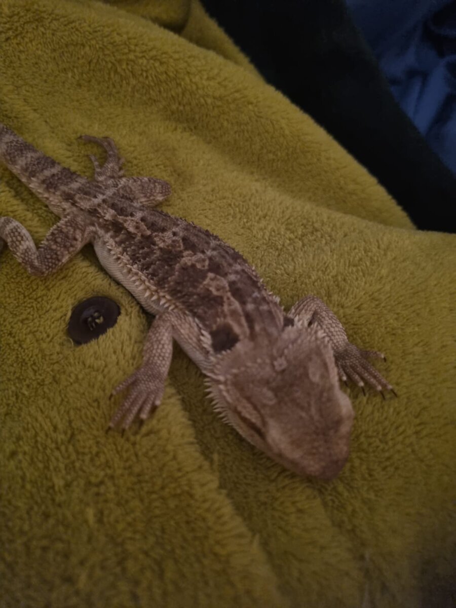 Мне кажется она подросла немного за неделю :)