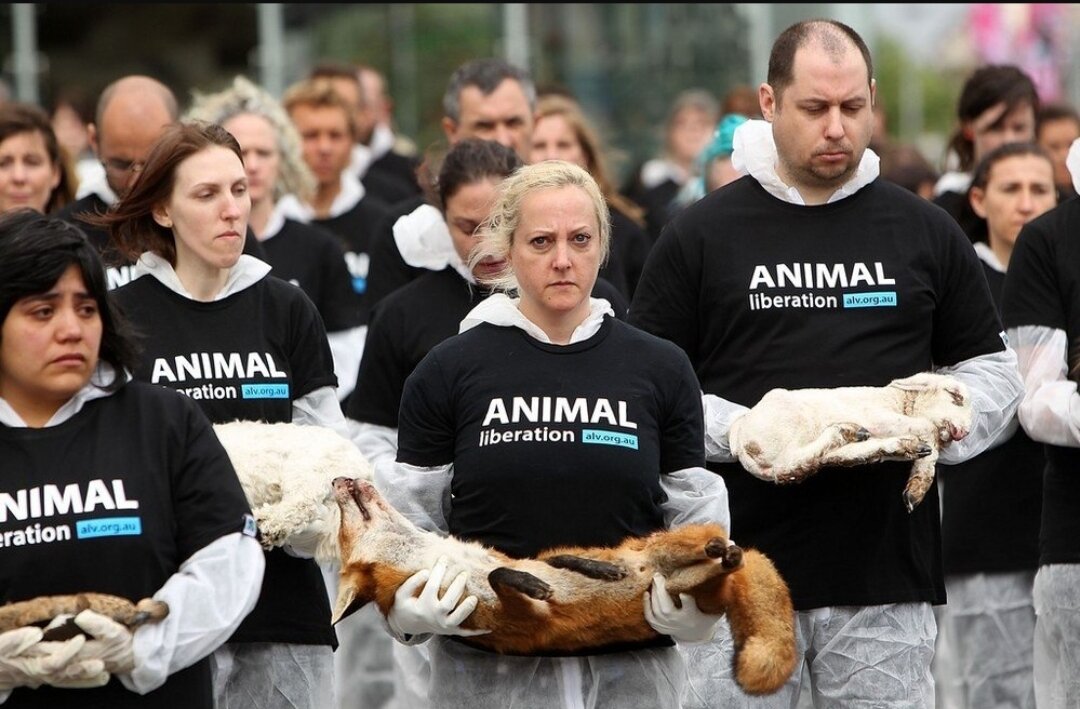 Иногда они опаснее животных