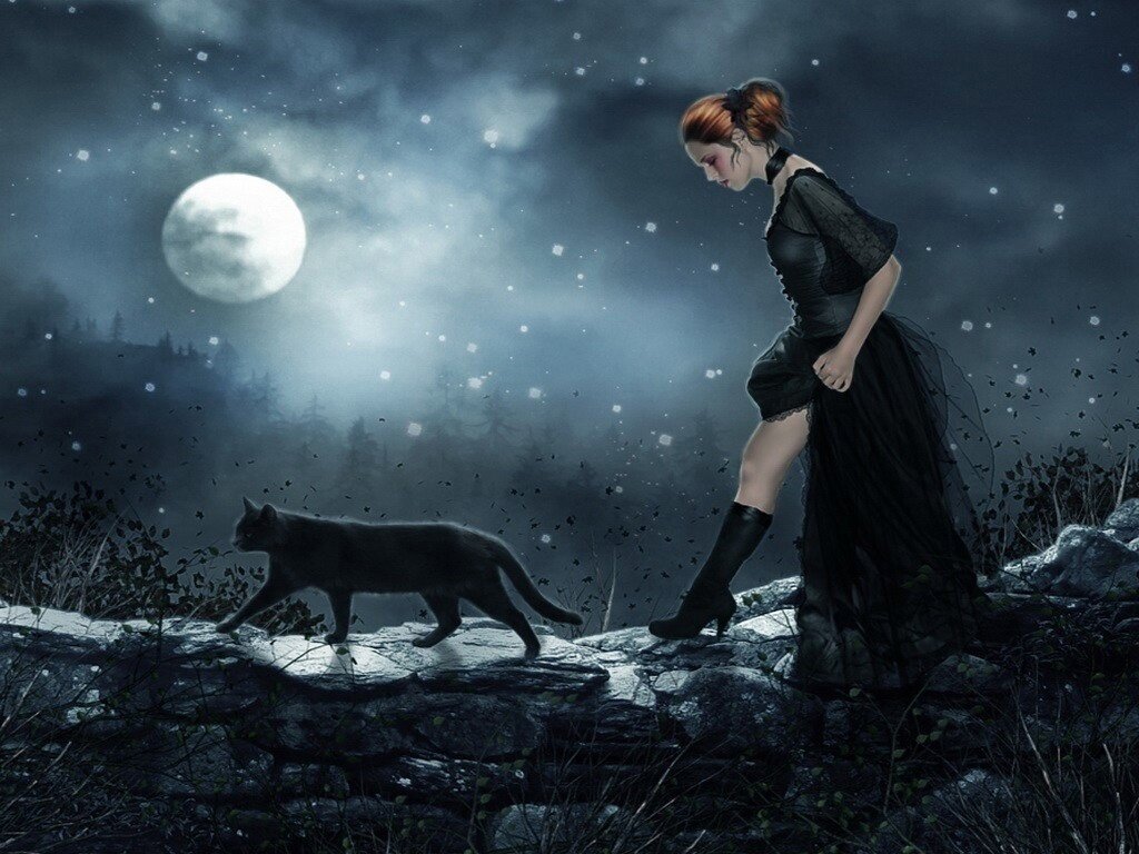 Черный кот и девочка. Ведьма с котом. Ведьма и Луна. Девушка с черным котом. Девушка-Луна.