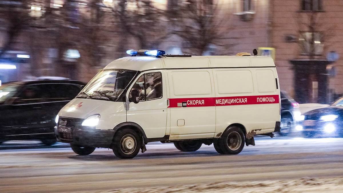    Фото: Софья Сандурская / АГН Москва