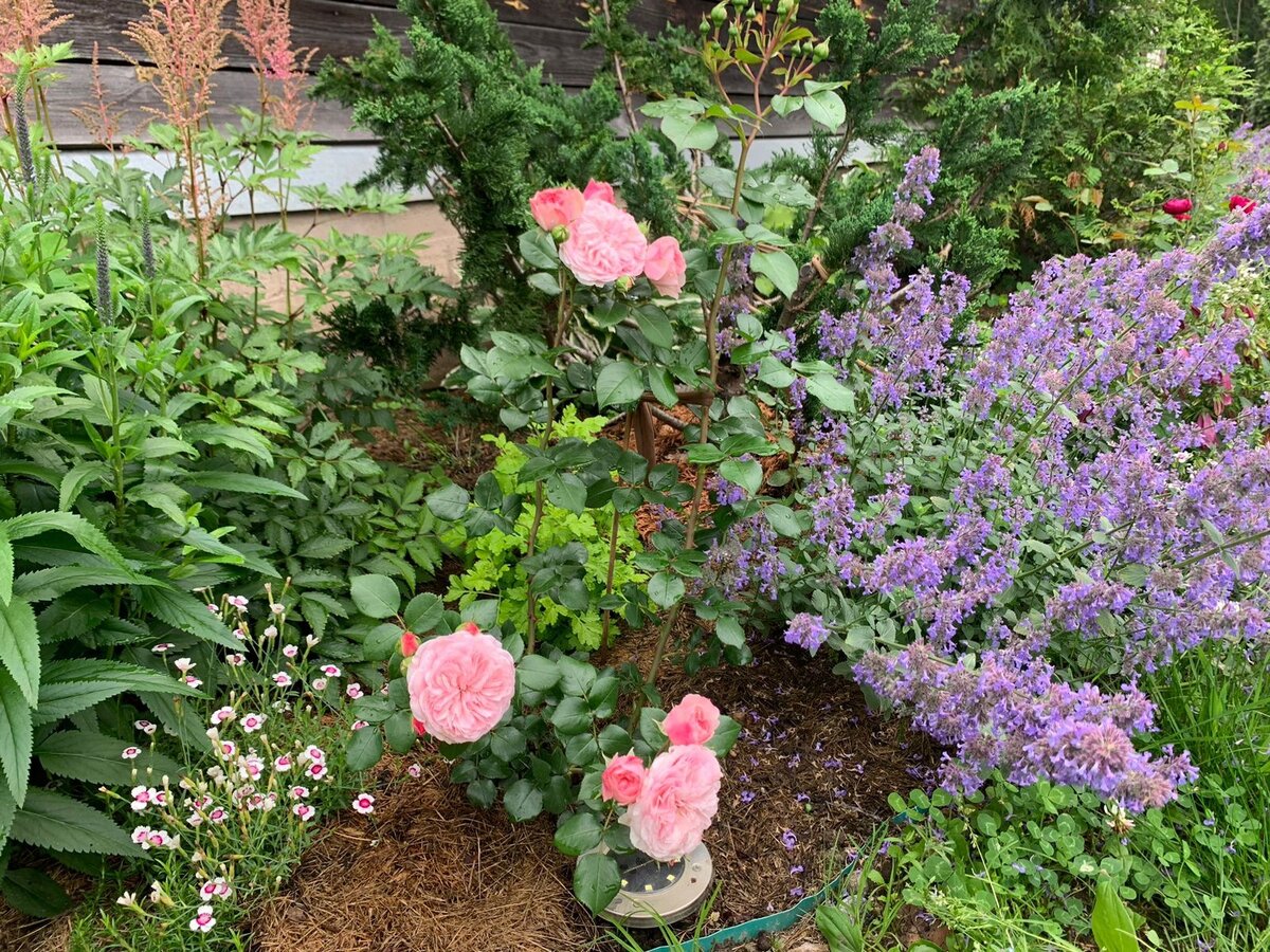 Rhs garden wisley пруды. Хайгроф англия. Сад живопись. When was the garden. Мальчик в огороде.