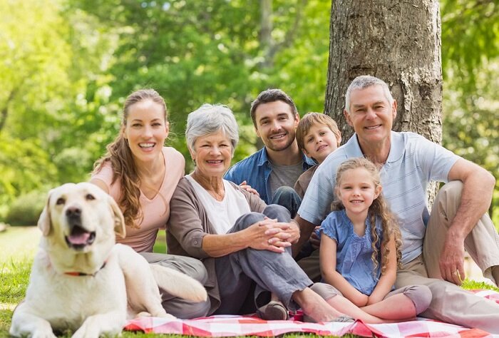 Источник ustaliy.ru