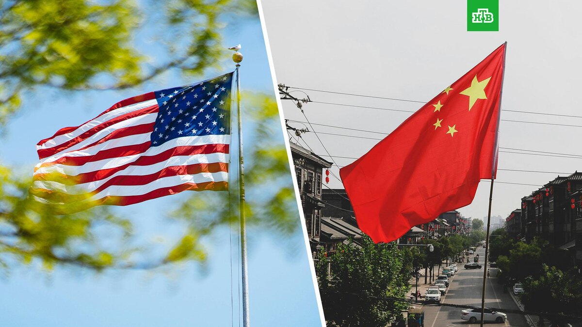    Фото: whodunelson, whitehost / unsplash.com